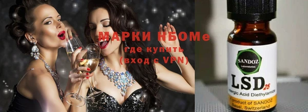 трава Наволоки