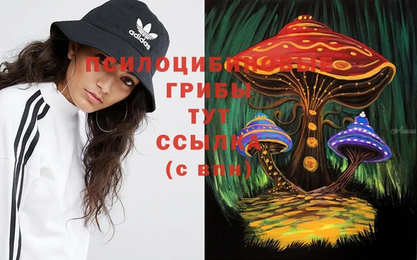 эйфоретик Абинск