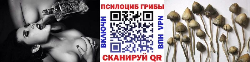 купить наркотики сайты  Ханты-Мансийск  Галлюциногенные грибы GOLDEN TEACHER 